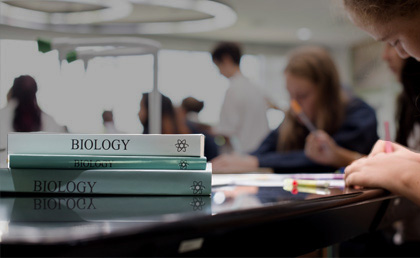https://www.clarkemurphyprint.com.au/wp-content/uploads/2024/09/Education-Mobile-430x258-2.jpg